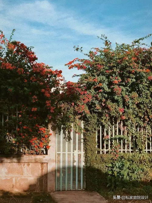 私家庭院設計 打造專屬的戶外生活空間